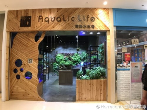 零售创新 绿植热带鱼店怎么开进现代化购物中心