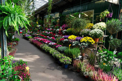巴黎花卉市场
